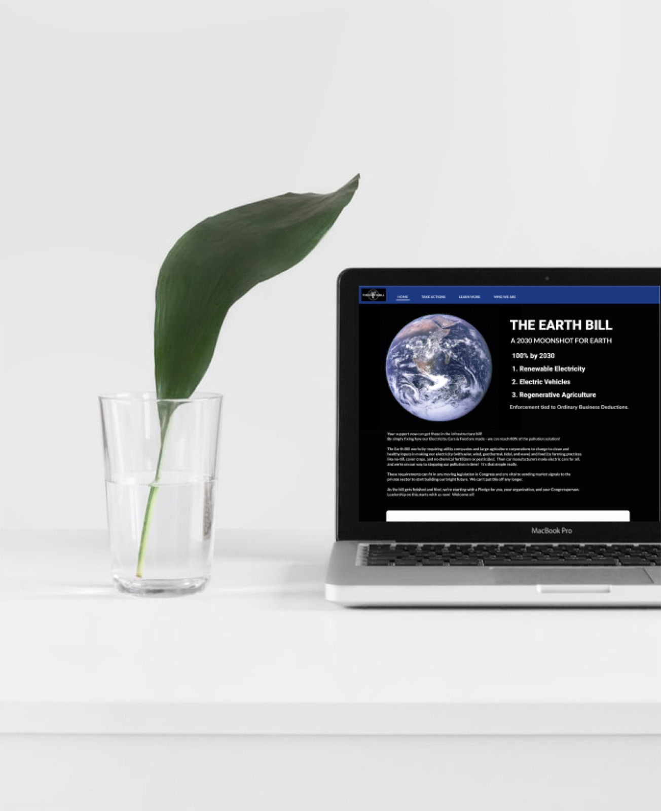 The Earth Bill website